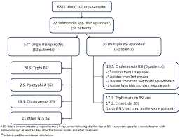 flow chart of blood stream infection bsi episodes