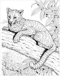Make sure this fits by entering your model number. Realistic Jaguar Coloring Pages For Adults Coloringbay