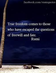 Rumi True Freedom Comes To Those Who Have Escaped The Questions Of Freewill And Fate Mindfulness Awakening Consciousness Rumi Quotes Rumi Love Quotes Rumi