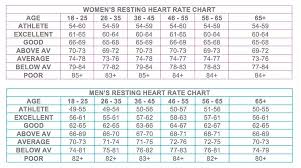 Proper Blood Pulse Rate Chart 2019