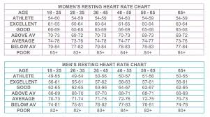 Proper Blood Pulse Rate Chart 2019