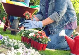 Your local salt lake city downtown florist. When Is The Best Time To Plant Flowers In Salt Lake City