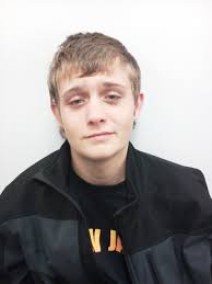 Vehicle Strikes Home