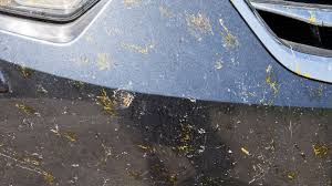 The streak is not just because they use cheap junk ingredients but because they do not dissolve the dirt already there. Removing Bugs From The Front Of Your Car Direct Line