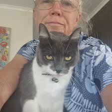 Meet Floki. He is a regular pet sit. He loves a chat and loves the camera.  #petsitter #petsitting