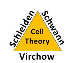 The three tenets to the cell theory are as. Multiple Choice Quiz On Cell Theory
