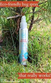 Honest Company Bug Spray Review An Honest Assessment