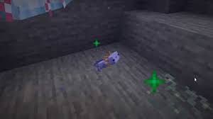 Pink (leucistic, referred to as lucy in its texture file), brown (wild), yellow (gold), cyan and blue. How Do You Breed A Blue Axolotl In Minecraft Command Steps