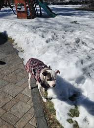 Dumpster Dive King added a new photo.