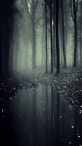 A collection of the top 44 minimal wallpapers and backgrounds available for download for free. Adorable Aesthetic Forest Wallpaper Forest Wallpaper Aesthetic Wallpapers Aesthetic Desktop Wallpaper