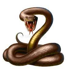 Snake Tongue Cobra Reptile Danger Viper Head Fangs Attack Poison Snake Ad Reptile Danger Cobra Snake Tongue Ad Telas