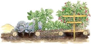 I only recently read the back of the forest mulch bag and found that it is made from redwood and cedar trees. Building Garden Soil With Wood Mulch Mother Earth News