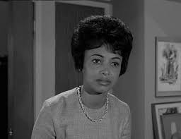 bare•bones e-zine: The Hitchcock Project-A Nice Touch by Mann Rubin [9.2]