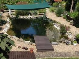 Koi Schwimmteich Bauen Schwimmteich Schwimmteich Bauen Naturschwimmbecken