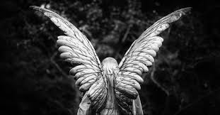 All you need to know about angel feathers. Angels Of God 5 Reasons He Sends Them To Us With Evidence In The Bible