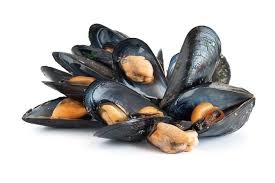Lemon Dijon Moules Marinieres An Incredible Appetizer Course Recipe Mussels Steamed Mussels Garlic