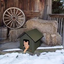 Outdoor cat kennel is great solution for the outdoor pets entertainment as well as for fun. 15 Best Cat Houses And Condos 2019 The Strategist