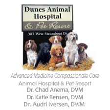 Downers grove animal hospital is a full service animal hospital dedicated to nurturing the bond between you and your dog, cat, avian or exotic family member. Dunes Animal Hospital Veterinarian In Dakota Dunes Sd Us Services