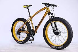 Pin On E Bikes E Scooter Fahrrader Und Co