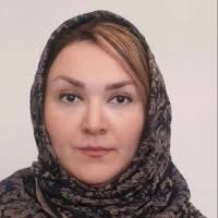 500+ "Saba" profiles