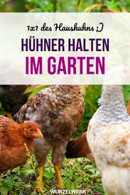 Es Lebe Das Haushuhn Huhner Halten Im Garten Wurzelwerk Haushuhn Huhner Im Garten Huhnerhaltung Im Garten