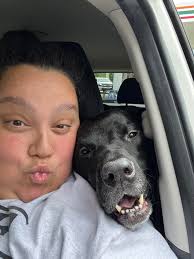 Dog hitching a ride with horse friend