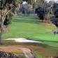 Florida Winter Series Four-Ball - Country Club of Ocala