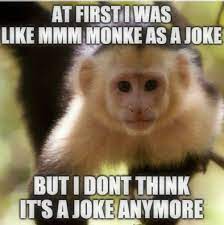 Pin On Monke