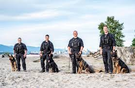 Sundance 2021 stars in unforgettable early roles. The 2021 Vancouver Police Dog Calendars Are Now On Sale Vancouver Is Awesome