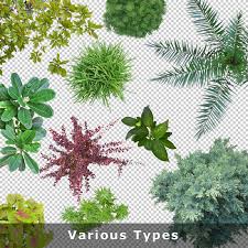 You may even rub shoulders with the stars! Plant Top View Png Collection Cutout Vegetation For Landscape Architects