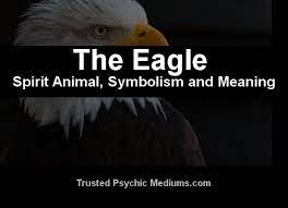The Eagle Spirit Animal A Complete Guide To Meaning And Symbolism Eagle Spirit Animal Spirit Animal Eagle Spirit Guide