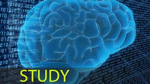 3 Hour Focus Concentrate Study Music Focus Music Alpha Binaural Waves 343 Meditation Music Music For Studying Relaxing Music