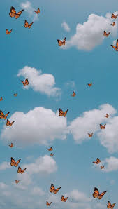 Merubah dan menambah warna background menjadi 2 bagian warna. Juliana On Twitter Butterfly Wallpaper Iphone Wallpaper Sky Butterfly Wallpaper Iphone