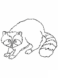 Free Printable Raccoon Coloring Pages For Kids Animal Coloring Pages Bear Coloring Pages Coloring Pages