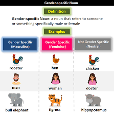 The noun types of nouns. Gender Specific Noun What Is A Gender Specific Noun