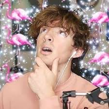 Maybe you would like to learn more about one of these? Albert Albertsstuff Instagram Photos And Videos Flamingo Photo Flamingo Pictures Flamingo Art