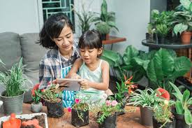 Berkebun dengan cara vertikal sangat cocok dengan kondisi rumah yang lahannya sangat terbatas. Langkah Mudah Berkebun Di Rumah Dengan Polybag