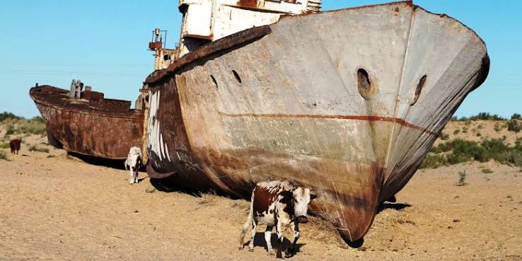 Photos of the Moynaq Ship Cemetery in Uzbekistan Desert - Business Insider