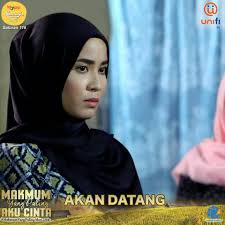 Beliau memulakan kerjaya seninya sebagai pelakon bermula dari tahun 2017. Drama Adaptasi Makmum Yang Paling Novelist Aii Fariza Facebook