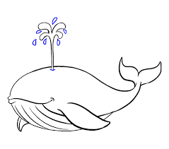 We did not find results for: How To Draw A Whale In A Few Easy Steps Easy Drawing Guides