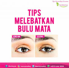 Anda tidak perlu mengeluarkan pembelanjaan yang banyak hanya untuk kelihatan cantik. 6 Tips Melebatkan Bulu Mata Nurraysa