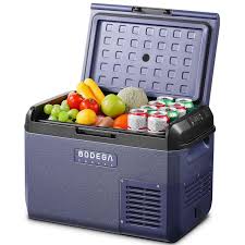 Portable Electric Cooler