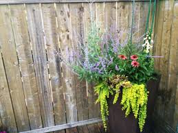 Neighborhoods for buffalo, new york. How To Set Up A Perennial Planter In A Cold Climate Heirloom Soul Florals Wedding Florist And Flower Farm In Buffalo Ny Wny
