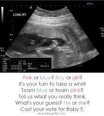 Gender reveal poem for a boy or girl. 18 Super Fun And Cute Gender Reveal Poems And Riddles