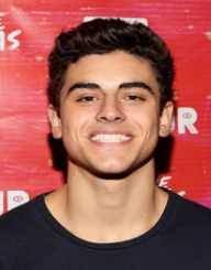 Wendell edward pierce (born december 8, 1963) is an american actor and businessman. Hayes Grier Biography Life Interesting Facts