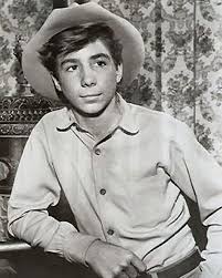 Johnny crawford comes from a family of professional entertainers, and thanks to the inspiration of johnny crawford's entertainment career began in 1955, when he was cast as one of walt disney's. Former Child Star Johnny Crawford Has New Album Offbeat With Phil Potempa Nwitimes Com
