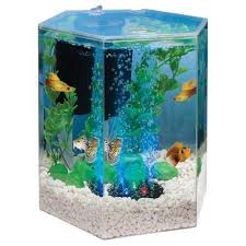 Tetra 29040 Hexagon Aquarium Kit With Led Bubbler 1 Gallon New On Ebid United States 144812093 Aquarium Kit Beta Fish Tank Betta Aquarium