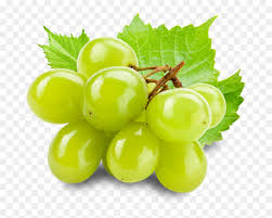 Our database contains over 16 million of free png images. ì˜¬ë¦¬ë¸Œ ì˜ ê³¤ì•½ ì ¤ë¦¬ Hd Png Download Vhv
