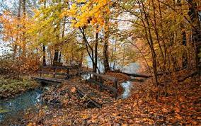 30 Stunning Autumn Wallpaper Collections Naldz Graphics Nature Photography Trees Autumn Nature Autumn Scenery