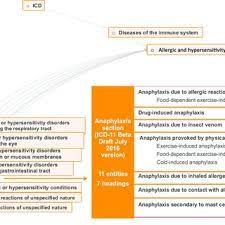 Anaphylaxis Corresponding Icd 10 And Icd 11 Codes Download Scientific Diagram